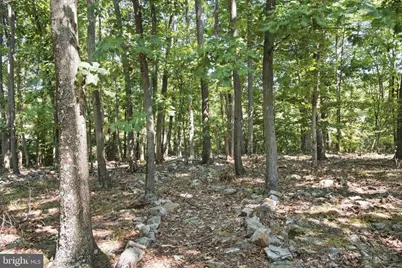 751 Bergey Road, Middleburg, PA 17842 - Photo 52