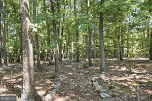 751 Bergey Rd, Middleburg, PA 17842 - Photo 52