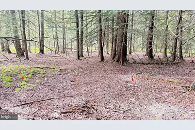 Lot 211-212 Aquaris Ln, Lake Ariel, PA 18436 - Photo 6