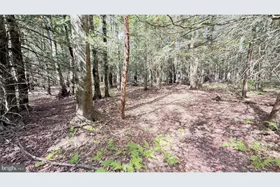 Lot 211-212 Aquaris Ln, Lake Ariel, PA 18436 - Photo 1