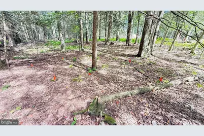 Lot 211-212 Aquaris Ln, Lake Ariel, PA 18436 - Photo 4