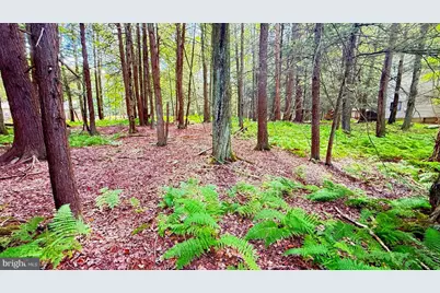 Lot 207 Cygnus Rd, Lake Ariel, PA 18436 - Photo 2