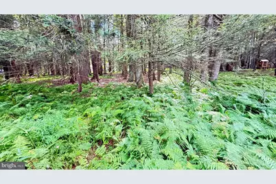 Lot 207 Cygnus Rd, Lake Ariel, PA 18436 - Photo 6