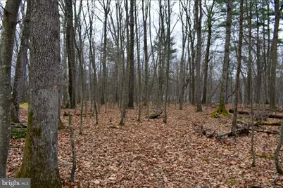 00 Upper Lakeview Drive, Hawley, PA 18428 - Photo 6