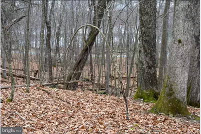 00 Upper Lakeview Drive, Hawley, PA 18428 - Photo 10