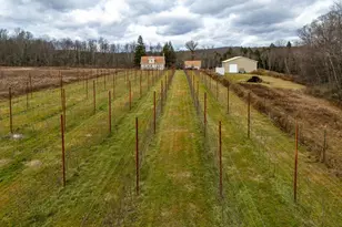 48 Yarnes Rd, Waymart, PA 18472 - Photo 92