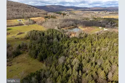 48 Yarnes Rd, Waymart, PA 18472 - Photo 48