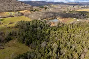 48 Yarnes Rd, Waymart, PA 18472 - Photo 48