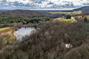 48 Yarnes Rd, Waymart, PA 18472 - Photo 32