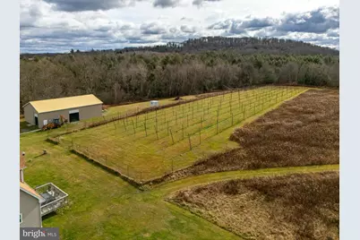 48 Yarnes Rd, Waymart, PA 18472 - Photo 86