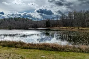 48 Yarnes Rd, Waymart, PA 18472 - Photo 64