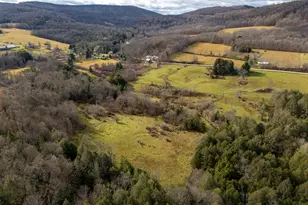 48 Yarnes Rd, Waymart, PA 18472 - Photo 50