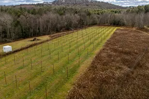 48 Yarnes Rd, Waymart, PA 18472 - Photo 88