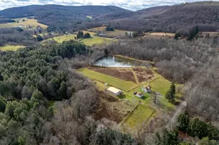 48 Yarnes Rd, Waymart, PA 18472 - Photo 44