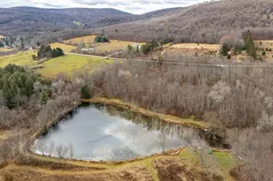 48 Yarnes Rd, Waymart, PA 18472 - Photo 50