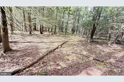 211 Aquaris Ln, Lake Ariel, PA 18436 - Photo 4