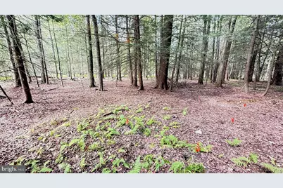 212 Aquaris Ln, Lake Ariel, PA 18436 - Photo 6