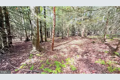 212 Aquaris Ln, Lake Ariel, PA 18436 - Photo 1