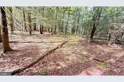 212 Aquaris Ln, Lake Ariel, PA 18436 - Photo 4