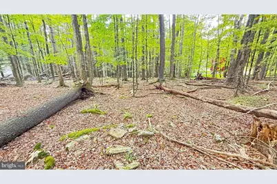 Lot 207 Andromeda Cir, Lake Ariel, PA 18436 - Photo 4