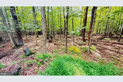 Lot 12 Andromeda Cir, Lake Ariel, PA 18436 - Photo 4