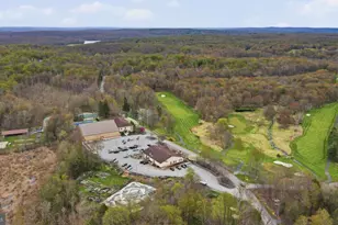 4 Tarot Ct, Lake Ariel, PA 18436 - Photo 62