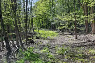 1113 Upper Woods Rd, Honesdale, PA 18431 - Photo 56