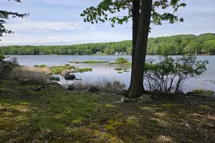 113 E Shore Dr E, Hawley, PA 18428 - Photo 4