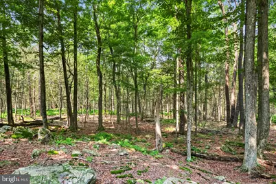 1022 Hilltop Drive, Newfoundland, PA 18445 - Photo 28