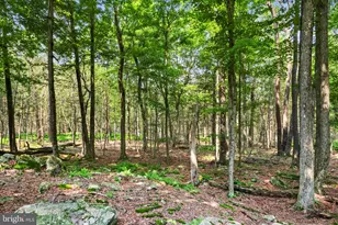 1022 Hilltop Dr, Newfoundland, PA 18445 - Photo 28