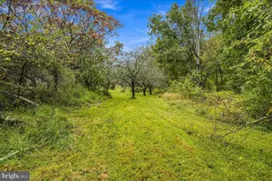 72 Steep Hill Rd, Beach Lake, PA 18405 - Photo 18