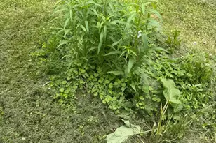 4810 Fake Rd, York, PA 17406 - Photo 54