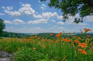 4815 Zeiglers Church Rd, Spring Grove, PA 17362 - Photo 112