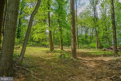 0 Old York Road, New Cumberland, PA 17070 - Photo 12