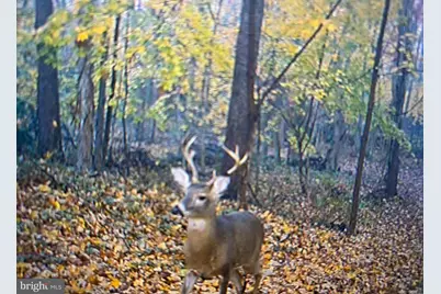 401 Beck Mill Rd Beck Mill Rd, Hanover, PA 17331 - Photo 6