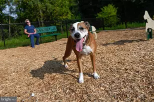 5101 Wynfield Blvd, York, PA 17403 - Photo 28