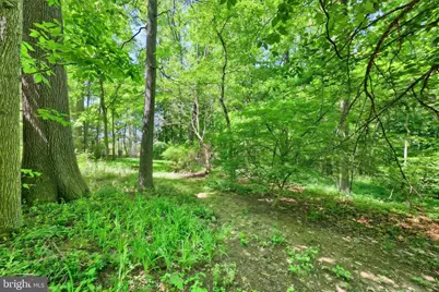 4275 Evergreen Road, Felton, PA 17322 - Photo 10