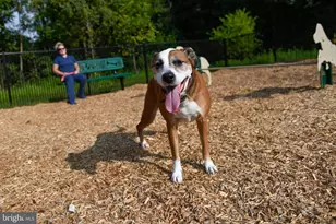 426 Cadbury Dr, Red Lion, PA 17356 - Photo 32