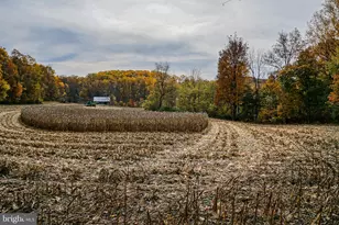 988 Kratz Rd, Glen Rock, PA 17327 - Photo 94