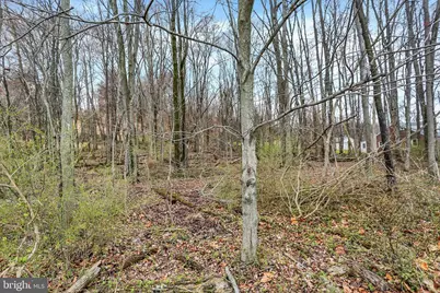 Lot 3 Cly Road, York Haven, PA 17370 - Photo 14
