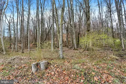 Lot 3 Cly Road, York Haven, PA 17370 - Photo 20