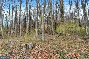 Lot 3 Cly Rd, York Haven, PA 17370 - Photo 20