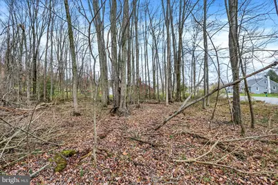 Lot 3 Cly Road, York Haven, PA 17370 - Photo 16