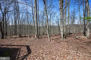 4790 Charolis Ct, Dover, PA 17315 - Photo 26