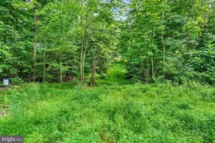 4192 Evergreen Rd, Felton, PA 17322 - Photo 40