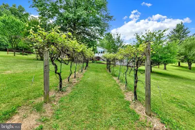 1149 Fawn Grove Road, New Park, PA 17352 - Photo 40