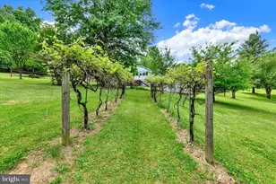1149 Fawn Grove Rd, New Park, PA 17352 - Photo 40