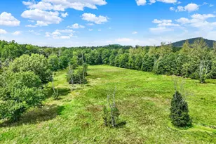 105 Thunder Gust Mill Rd, Wellsville, PA 17365 - Photo 60