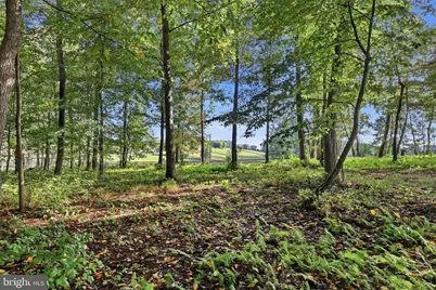 W McKinley Road, Delta, PA 17314 - Photo 12