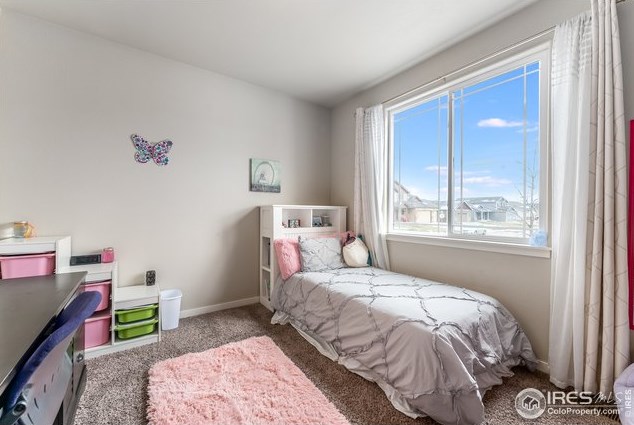 4336 Carlyle Ln, Wellington CO  80549-0023 exterior